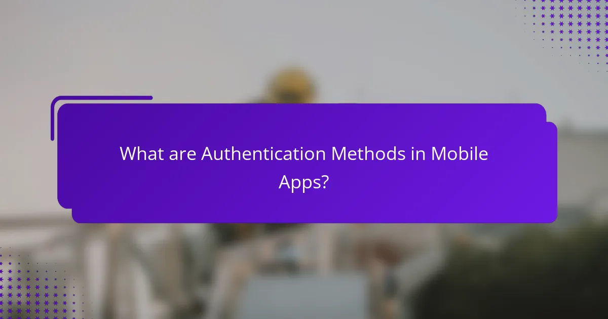 What are Authentication Methods in Mobile Apps?