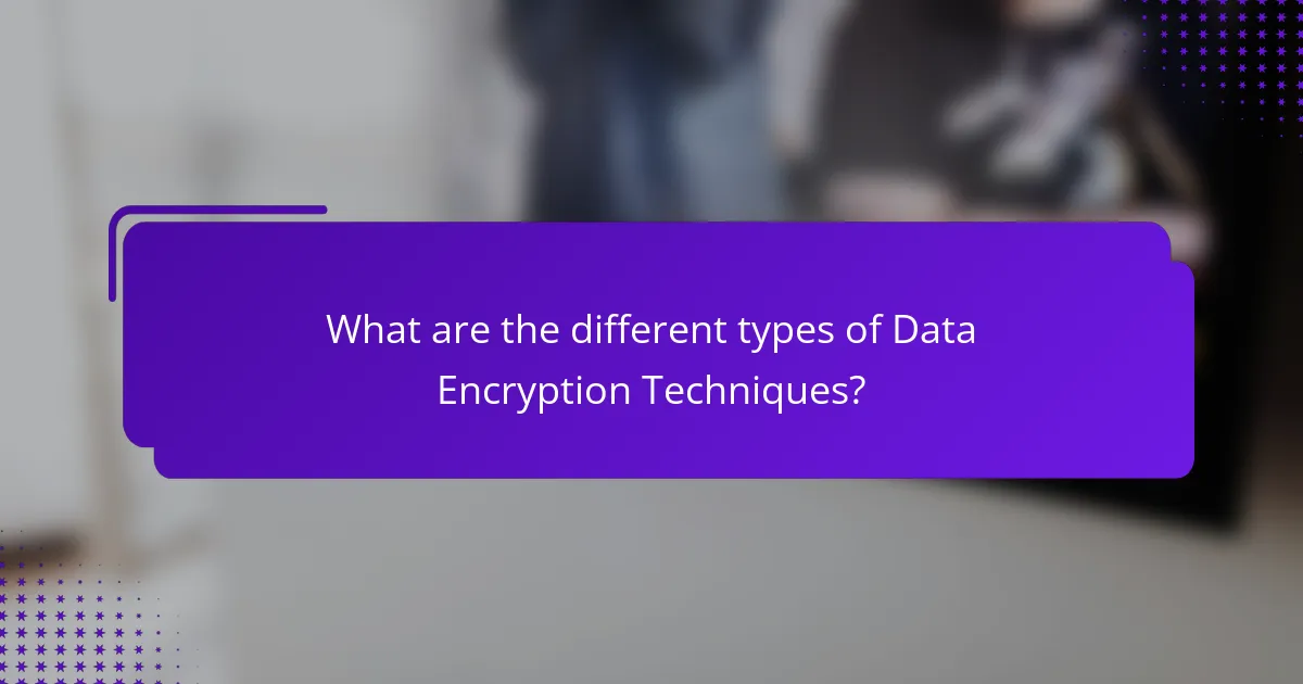 What are the different types of Data Encryption Techniques?