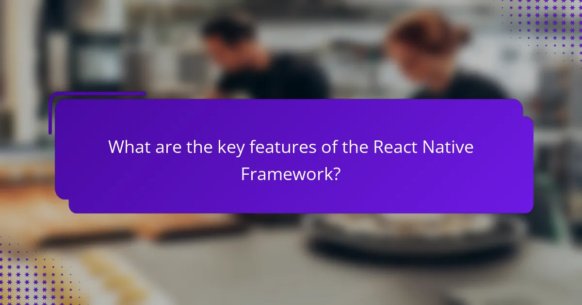 What are the key features of the React Native Framework?