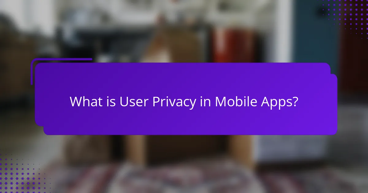 What is User Privacy in Mobile Apps?